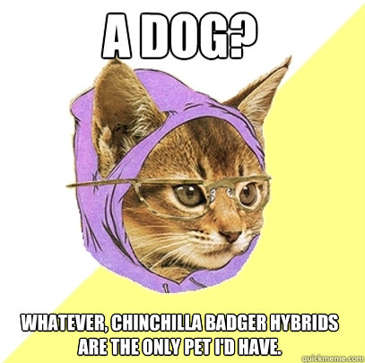 a dog? whatever, chinchilla badger hybrids are the only pet i'd have.  Hipster Kitty