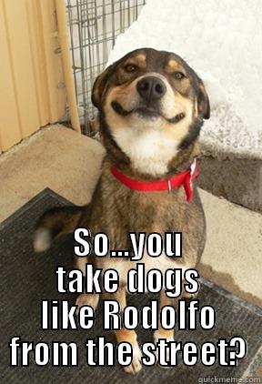  SO...YOU TAKE DOGS LIKE RODOLFO FROM THE STREET? Good Dog Greg