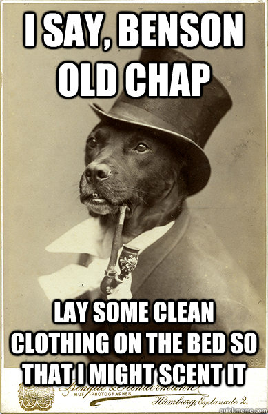 I say, Benson old chap  Lay some clean clothing on the bed so that I might scent it   Old Money Dog