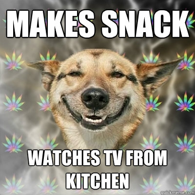 Makes snack watches tv from kitchen  Stoner Dog