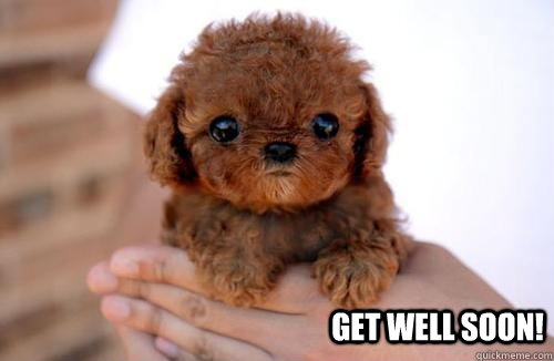  Get well soon! -  Get well soon!  Sad Puppy