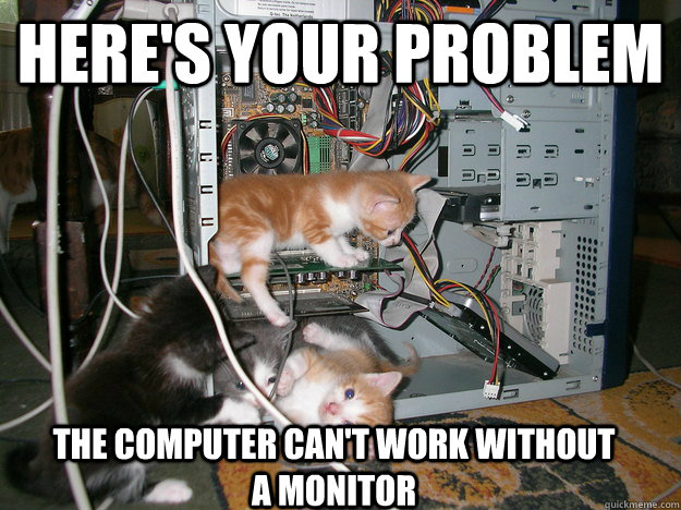 Here's your problem The computer can't work without a monitor  