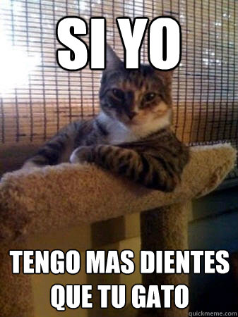 si yo tengo mas dientes que tu gato  The Most Interesting Cat in the World