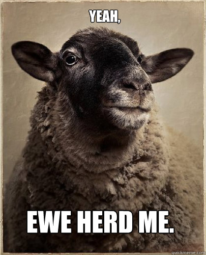 Yeah, EWE HERD ME.  