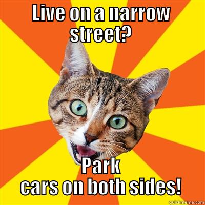 LIVE ON A NARROW STREET? PARK CARS ON BOTH SIDES! Bad Advice Cat