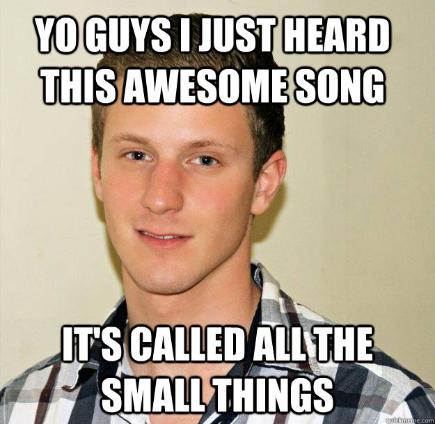 Yo guys I just heard this awesome song It's called All The Small Things  