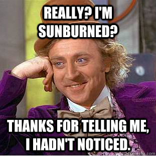 Really? I'm sunburned? Thanks for telling me, I hadn't noticed. - Really? I'm sunburned? Thanks for telling me, I hadn't noticed.  Condescending Wonka