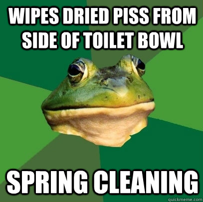 Wipes dried piss from side of toilet bowl Spring Cleaning  Foul Bachelor Frog