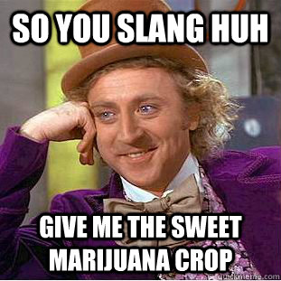 So you slang huh give me the sweet marijuana crop  Condescending Wonka