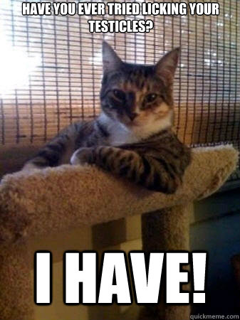 Have you ever tried licking your testicles? I Have!  The Most Interesting Cat in the World