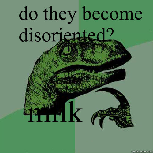 mllk do they become disoriented?  Philosoraptor