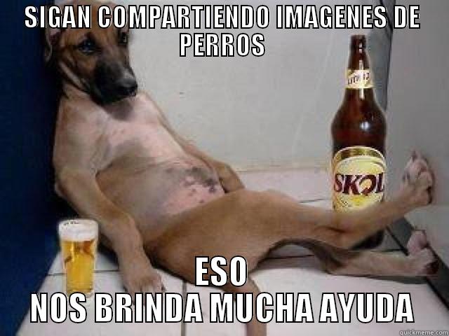 FUKIN DOG BEER - SIGAN COMPARTIENDO IMAGENES DE PERROS ESO NOS BRINDA MUCHA AYUDA Misc