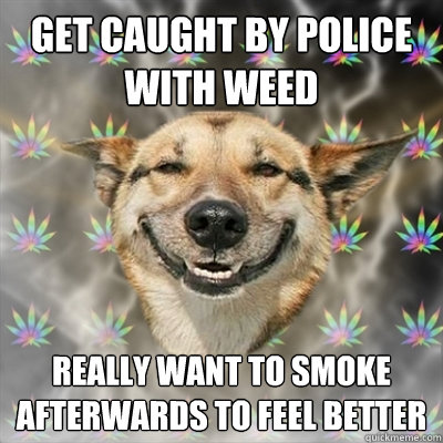 get caught by police with weed really want to smoke afterwards to feel better  Stoner Dog