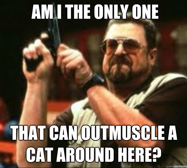 AM I THE ONLY ONE THAT CAN outmuscle a cat around here? Caption 3 goes here  Angey Walter