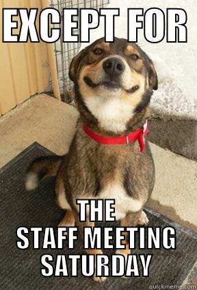 EXCEPT FOR  THE STAFF MEETING SATURDAY Good Dog Greg