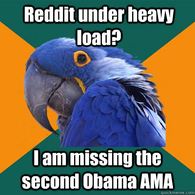 Reddit under heavy load? I am missing the second Obama AMA - Reddit under heavy load? I am missing the second Obama AMA  Paranoid Parrot