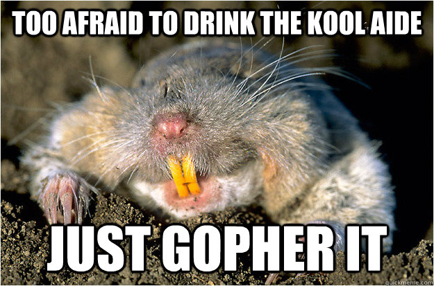 Too afraid to drink the kool aide just gopher it  Just gopher it