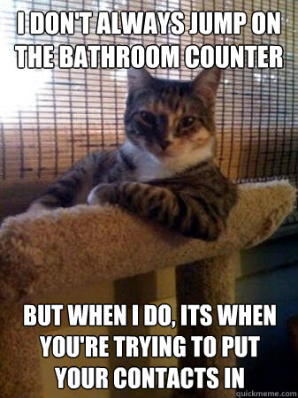 I don't always jump on the bathroom counter but when I do, its when you're trying to put your contacts in  The Most Interesting Cat in the World