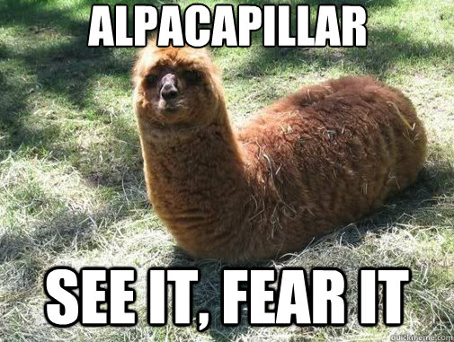 alpacapillar see it, fear it  Alpacapillar