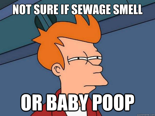 Not sure if sewage smell or baby poop  Futurama Fry