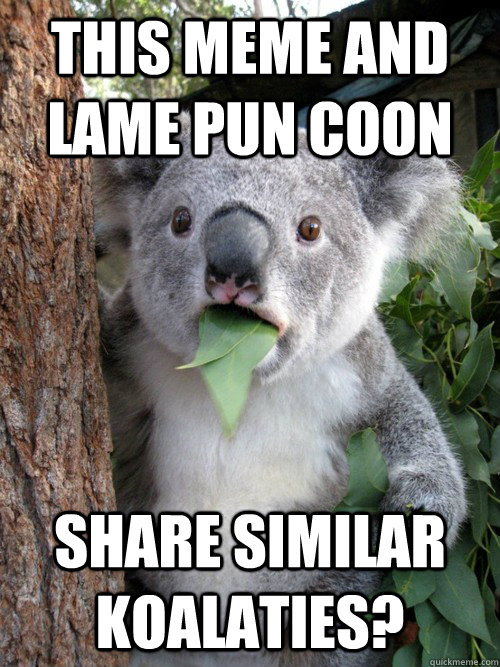 This meme and lame pun coon share similar koalaties? - This meme and lame pun coon share similar koalaties?  koala bear
