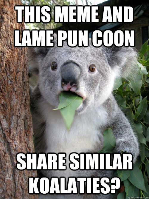 This meme and lame pun coon share similar koalaties?  koala bear