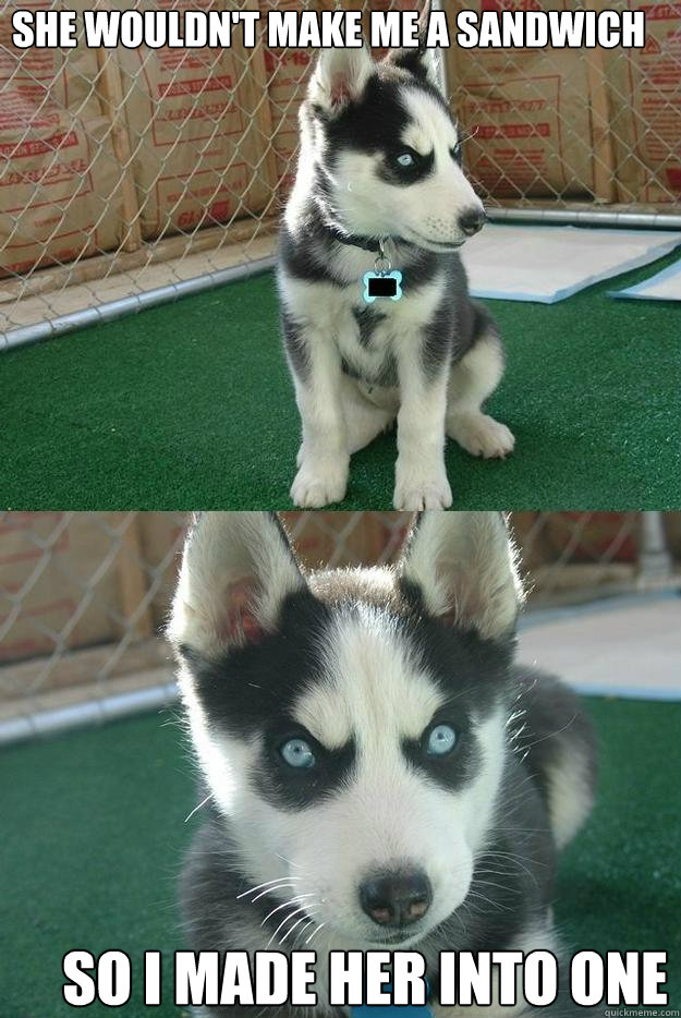 She wouldn't make me a sandwich so I made her into one  Insanity puppy