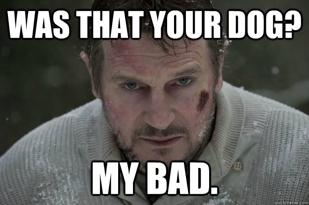 Was that your dog? My bad. - Was that your dog? My bad.  Liam Neeson Wolf Puncher