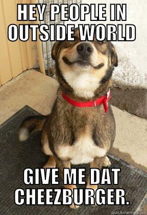 HEY PEOPLE IN OUTSIDE WORLD GIVE ME DAT CHEEZBURGER. Good Dog Greg