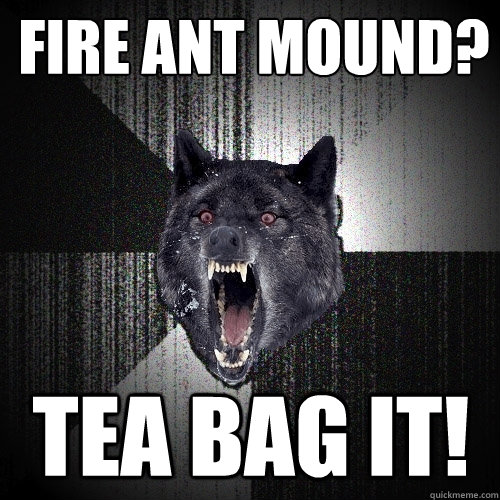 Fire ant mound? tea bag it!  Insanity Wolf