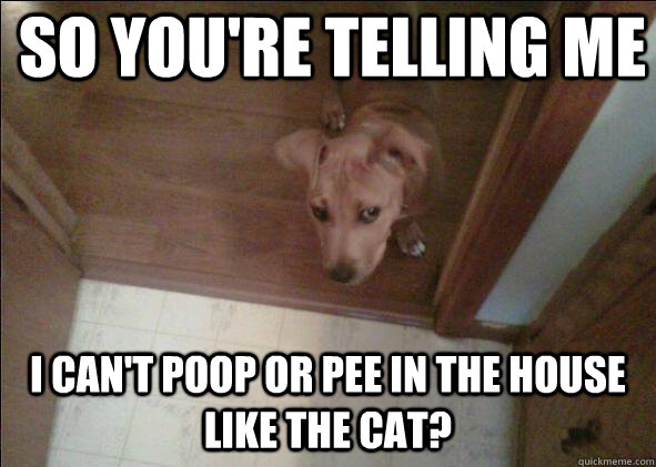 So you're telling me  i can't poop or pee in the house like the cat? - So you're telling me  i can't poop or pee in the house like the cat?  Skeptical Dog