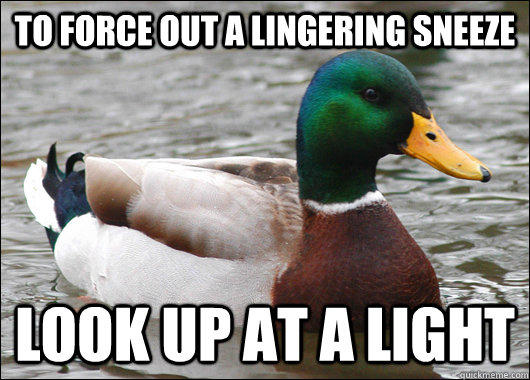 to force out a lingering sneeze Look up at a light  Actual Advice Mallard