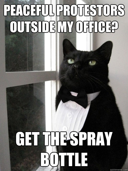 Peaceful protestors outside my office? Get the spray bottle  One Percent Cat