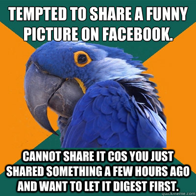 Tempted to share a funny picture on facebook. Cannot share it cos you just shared something a few hours ago and want to let it digest first.  Paranoid Parrot