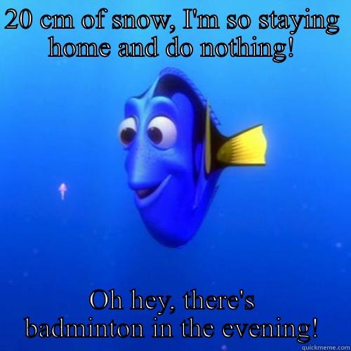 20 CM OF SNOW, I'M SO STAYING HOME AND DO NOTHING! OH HEY, THERE'S BADMINTON IN THE EVENING! dory