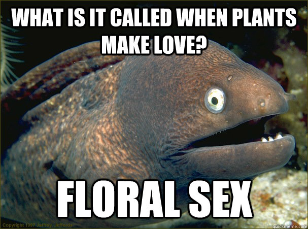 What is it called when plants make love? Floral Sex  Bad Joke Eel