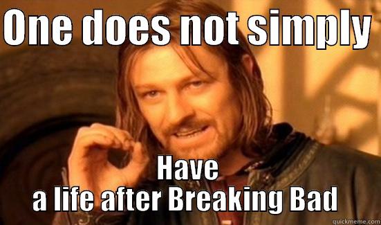 ONE DOES NOT SIMPLY  HAVE A LIFE AFTER BREAKING BAD  Boromir