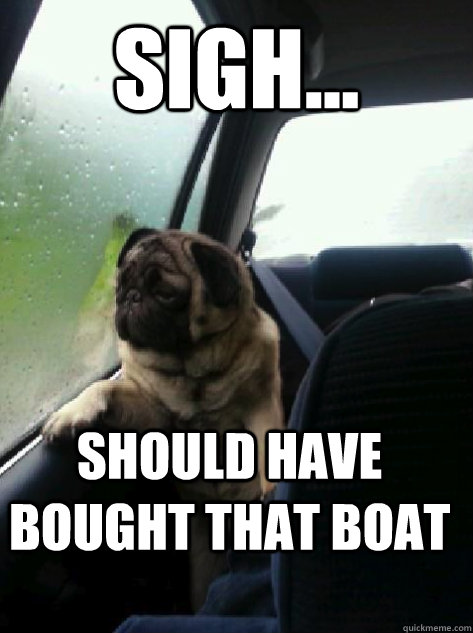 sigh... should have bought that boat  Introspective Pug
