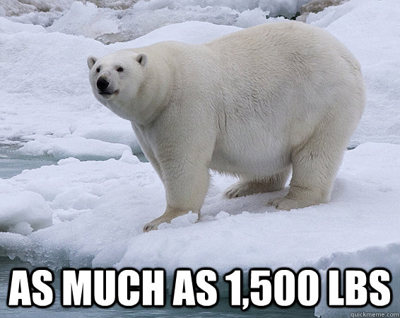as much as 1,500 lbs - as much as 1,500 lbs  Misc