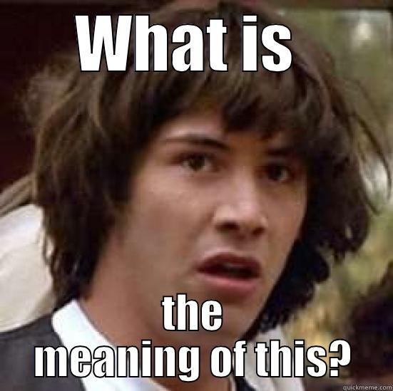 WHAT IS  THE MEANING OF THIS? conspiracy keanu