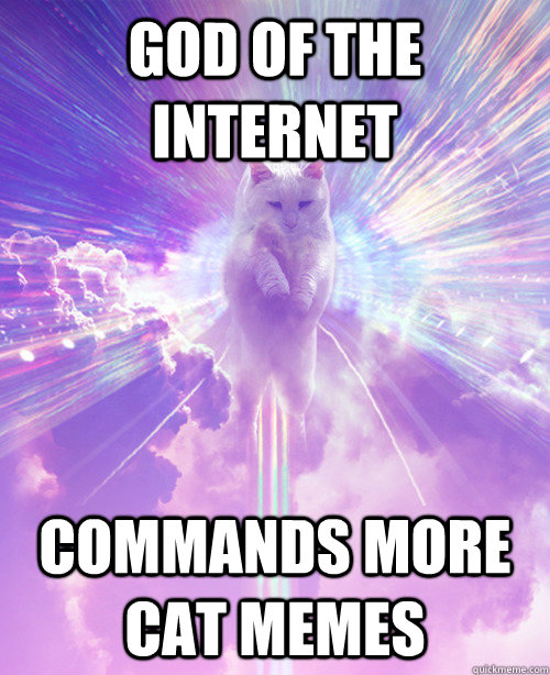God of the Internet Commands more Cat memes  