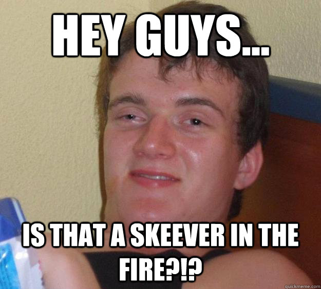 Hey Guys... Is that a Skeever in the fire?!?  10 Guy