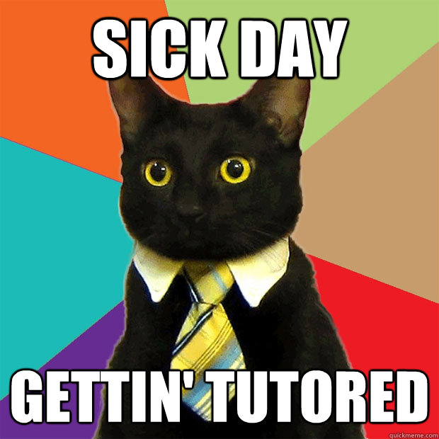 SICK DAY GETTIN' TUTORED  Business Cat