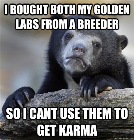 i bought both my golden labs from a breeder so i cant use them to get karma - i bought both my golden labs from a breeder so i cant use them to get karma  Confession Bear