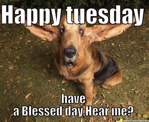 HAPPY TUESDAY  HAVE A BLESSED DAY,HEAR ME? Misc