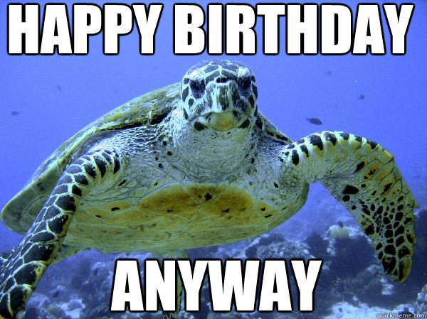 Happy Birthday Anyway  Awkward Turtle