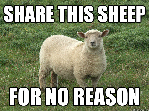 SHARE THIS SHEEP FOR NO REASON - SHARE THIS SHEEP FOR NO REASON  SHEEP