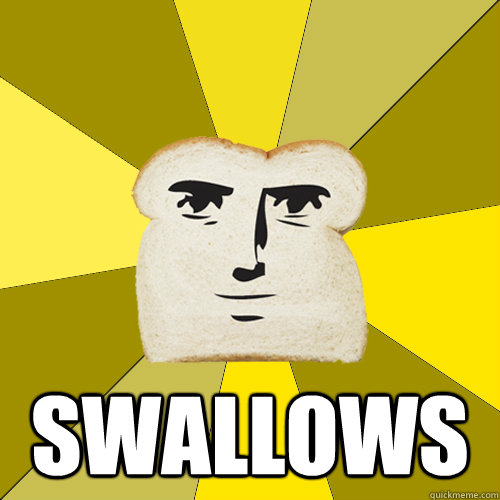  swallows  Breadfriend