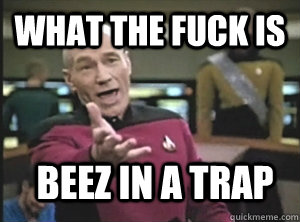 What the Fuck is  Beez In A Trap  Annoyed Picard