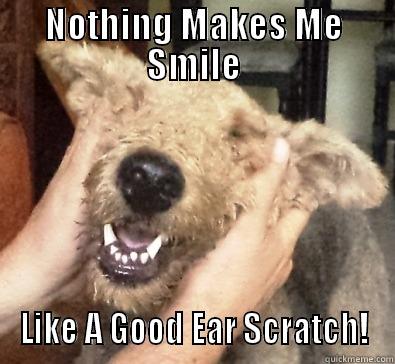 NOTHING MAKES ME SMILE LIKE A GOOD EAR SCRATCH! Misc